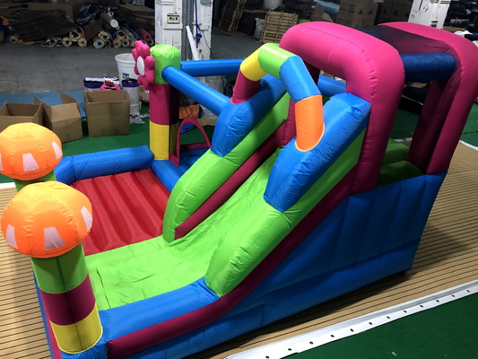 Casa gonfiabile a sbalzo Moonwalk Saltatore d'acqua Bouncer